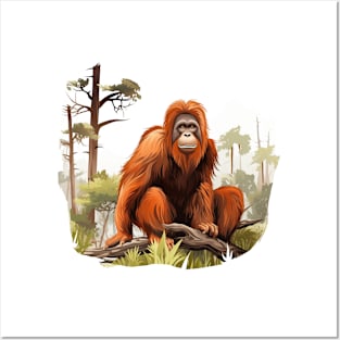 Orangutans Posters and Art